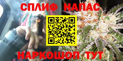 гидропоника Бузулук
