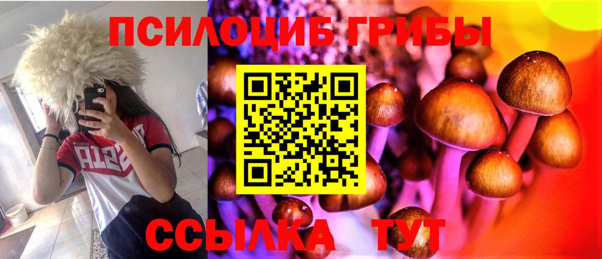 Рязань  Псилоцибиновые грибы Psilocybe  Вход с VPN 